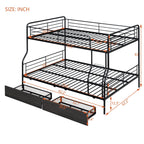 Contemporary Bunk Bed