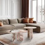 Elegant Coffee Duo Table Set