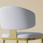 Modern Dining Chairs For Kitchen (Set of 2)