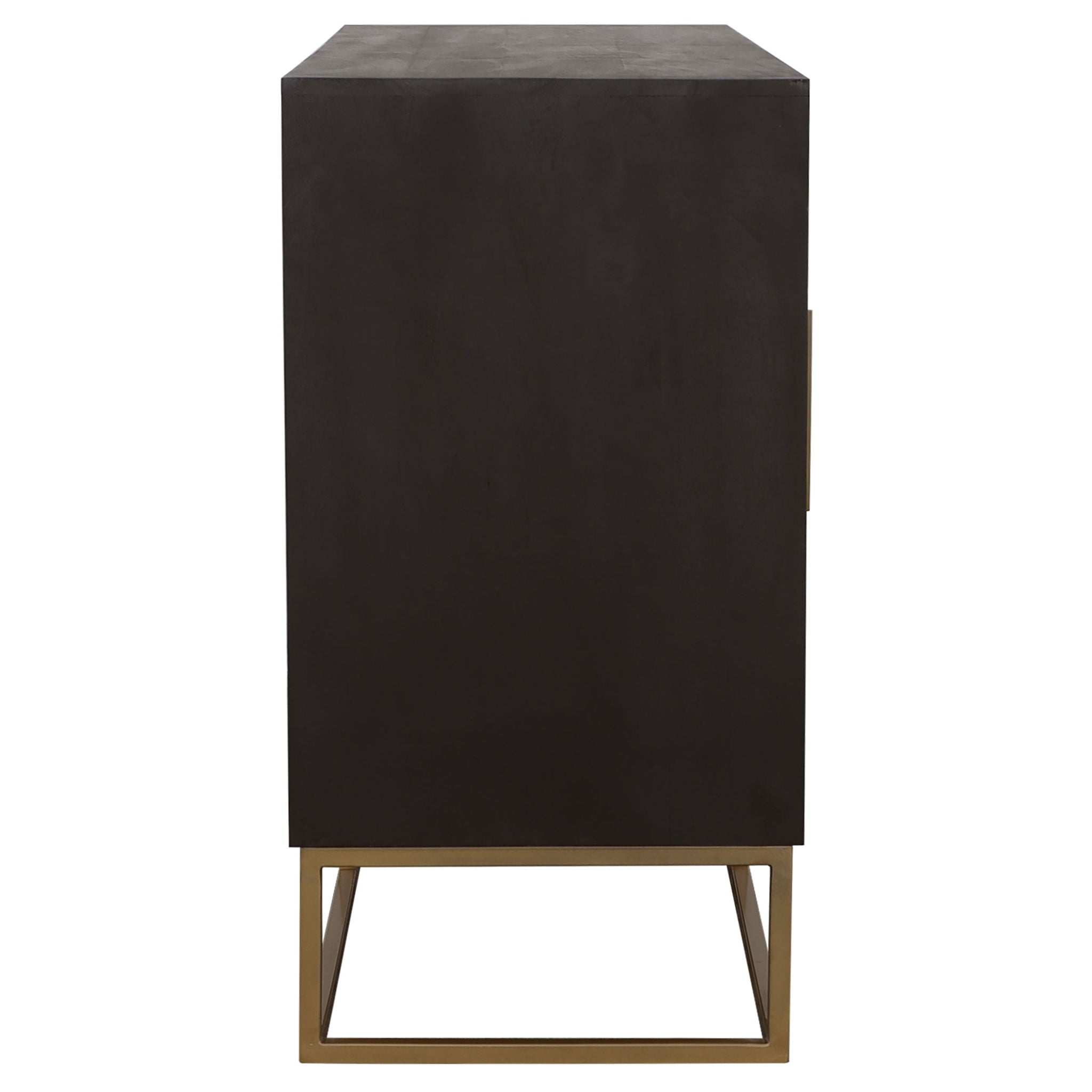 Zara 2-door 57-inch Wood Accent Storage Cabinet Black Walnut