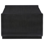Leandro 2-drawer Wood Cocktail Coffee Table Burnished Black