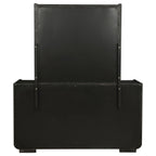 Leandro 8-drawer Bedroom Dresser with Mirror Burnished Black