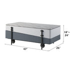 Wilkins - Coffee Table With Lift Top - Gray & White High Gloss