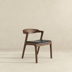 Dakota - Mid-Century Modern Dining Chair (Set of 2)