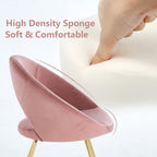 Modern Accent Lounge Chair