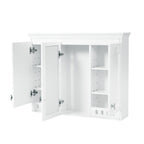 Wall Mount Mirror Cabinet With Adjustable Shelves, Soft Closing Hinges