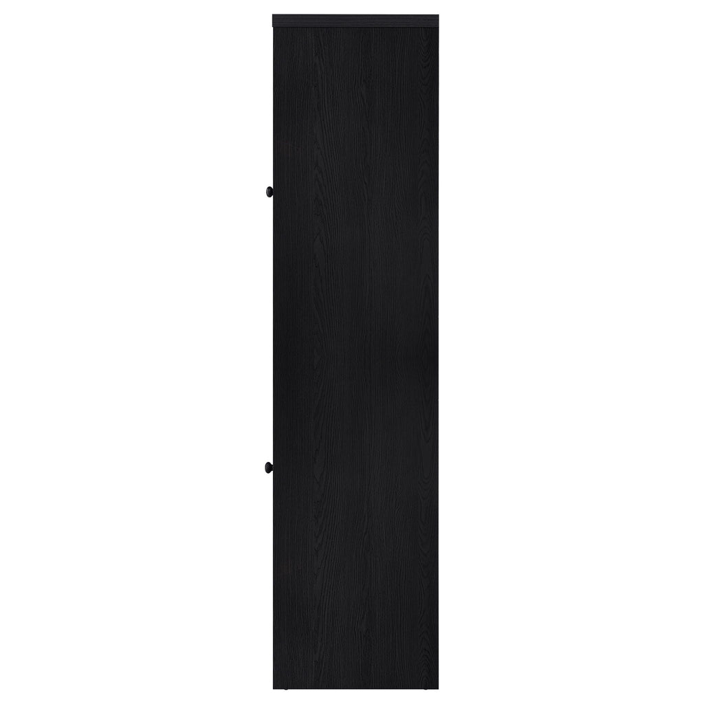Denison 67-inch 2-door Media Tower Storage Cabinet Black