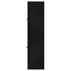 Denison 67-inch 2-door Media Tower Storage Cabinet Black