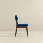 Carlos - Solid Back Side Chair (Set of 2)