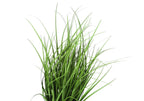 23" Tall, Artificial Plant, Grass, Indoor, Faux, Fake, Table, Greenery, Potted, Real Touch, Decorative - Green / Black