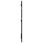 Arini Cane Weave Full Length Standing Floor Mirror Black