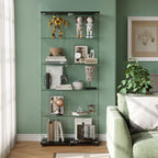 Display Cabinet With Shelf Double Doors And Lock
