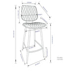 Raya - Upholstered Counter Height Stool (Set of 2)