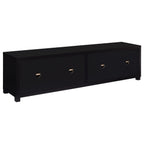 Sachin 4-door Engineered Wood 79-inch TV Stand Black