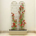 Metal Garden Trellis Rustproof Trellis For Climbing Plant Outdoor Flower Support