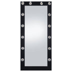 Zayan 32 x 71 Inch Floor Mirror LED Lighting Black Gloss