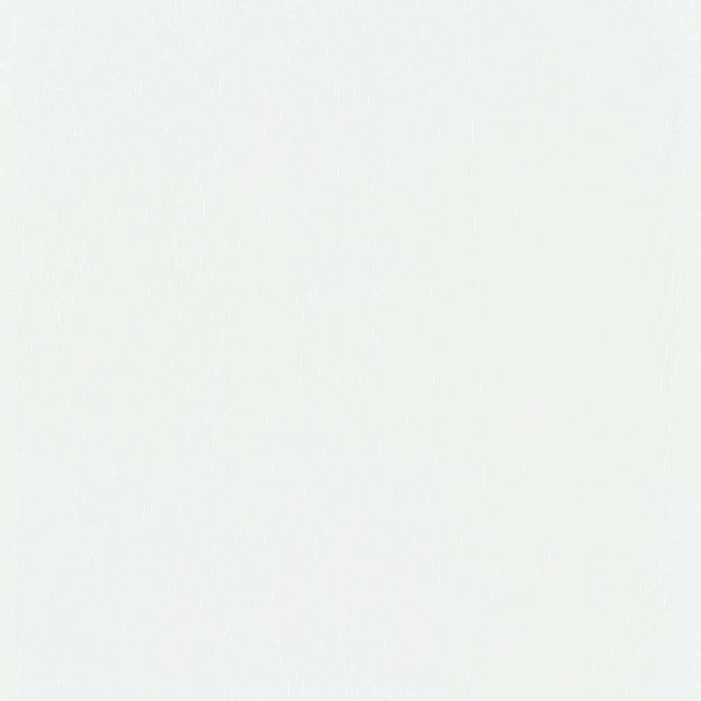 Roberto 4-Panel Room Divider Folding Shoji Screen White