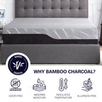 11" Renew Cooling Fast Responding Latex Foam Mattress