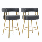 Decorative Upholstered Side Chair For Living Room (Set of 2)