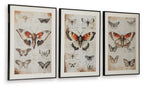 Jossletts - Wall Art Set (Set of 3) - Orange / Black / Ivory