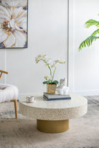 Unique Capiz Coffee Table & Pedestal Base