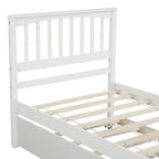 Platform Bed