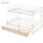 Contemporary Bunk Bed