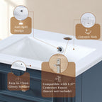 Bathroom Vanity With Sink, Soft-Closing Door, Adjustable Shelf