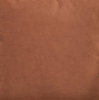 Caygan - Throw Pillow