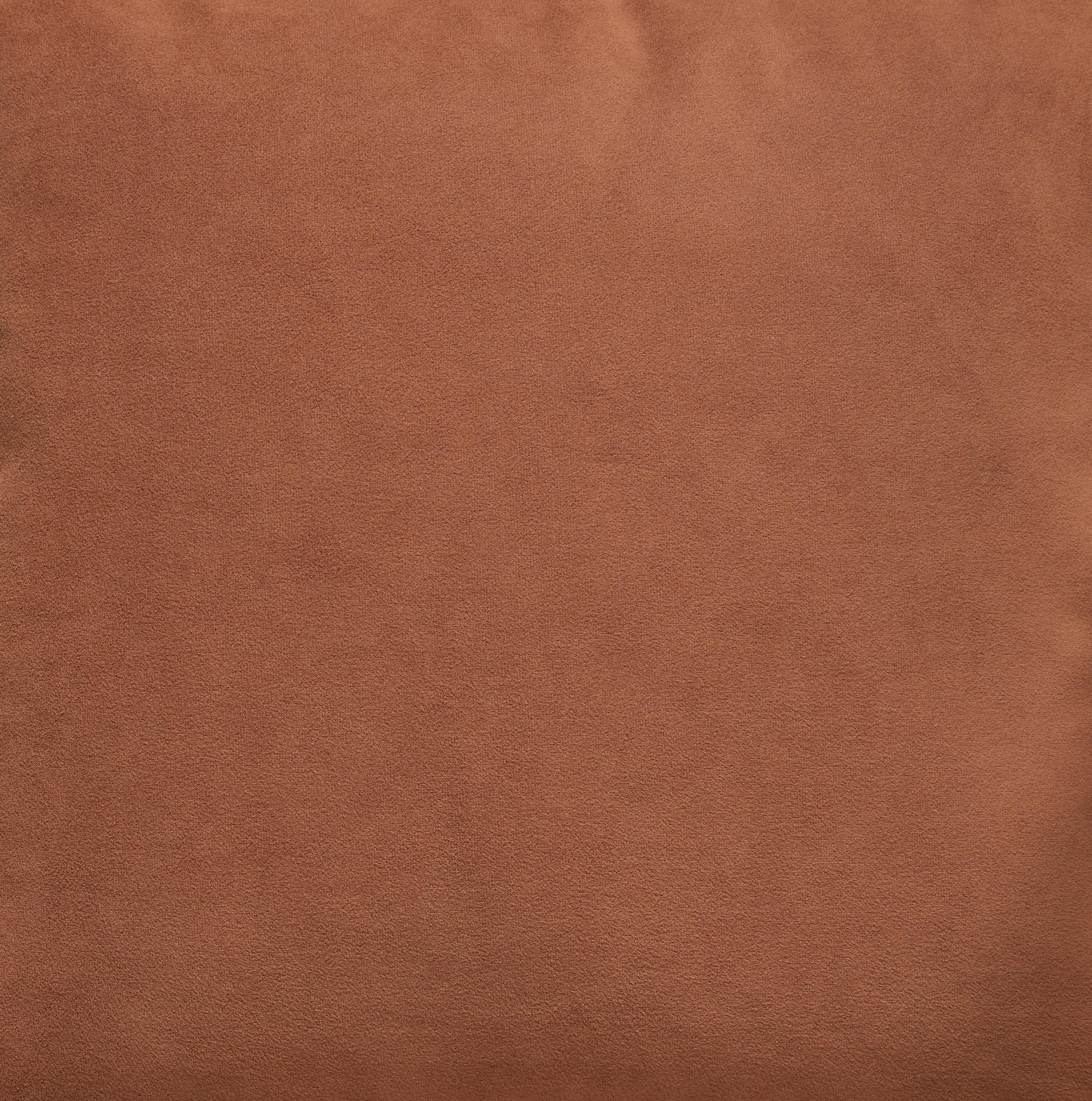 Caygan - Throw Pillow
