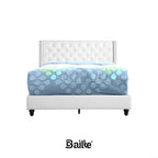 Upholstered Nailhead Trim Chic Bed
