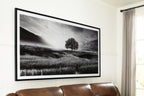 Deborland - Wall Art - Black / White