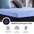 12" Refresh Flex Head Hybrid Cooling Fast Responding Latex Foam & Coil Mattress