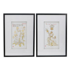 Wall Arts (Set of 2) - Multicolor