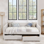 Upholstered Queen Daybed With 2 Drawers