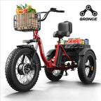 QRONGE 960W Peak Electric Bike For Adults 36V Battery Trike