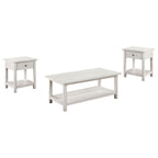 Payne 3-piece Coffee and 1-drawer End Table Set White