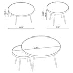Kaelyn 2-piece Round Mirror Top Nesting Coffee Table Gold