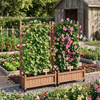Raised Garden Bed With Trellis 2 Pack, Outdoor Planter Box & Plant Stand With Climbing Racks - Brown
