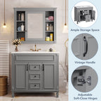 Bathroom Vanity With Top Sink, Mirror Cabinet, 2 Soft Closing Doors & 2 Drawers