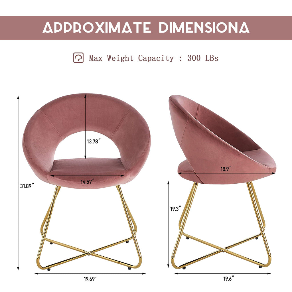 Modern Accent Chair (Set of 2)