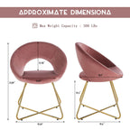 Modern Accent Chair (Set of 2)
