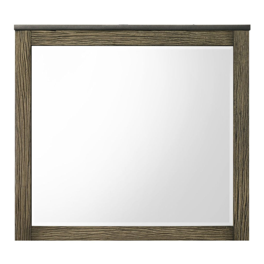 Lance - Mirror - Tree Bark