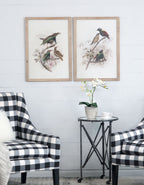 Bird Framed Print (Set of 2) - Multicolor