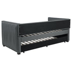 Brodie Upholstered Twin Daybed with Trundle Grey