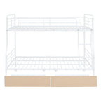 Contemporary Bunk Bed