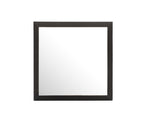Burlington - Modern Design Transitional Wall Mirror