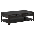 Marcelo Wood Coffee Table with 2 Drawers and Shelf Coffee