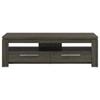 Elkton 2-drawer Engineered Wood 59-inch TV Stand Weathered Grey