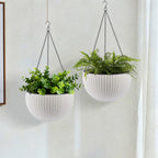 Self Watering Hanging Planter